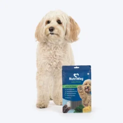 NutriWag Spinach & Cheese Duo Sticks Treats For Dog - 70 gm