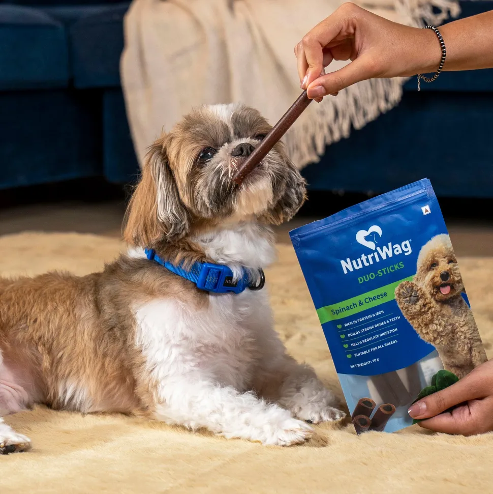 NutriWag Spinach & Cheese Duo Sticks Treats For Dog - 70 gm
