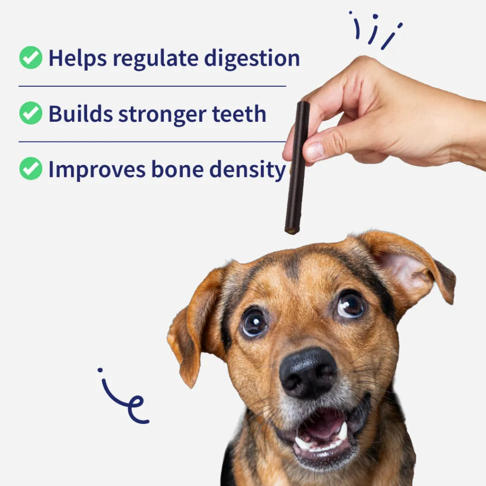 NutriWag Spinach & Cheese Duo Sticks Treats For Dog - 70 gm