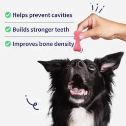 NutriWag Strawberry Calcium Chew Bones Treats For Dog