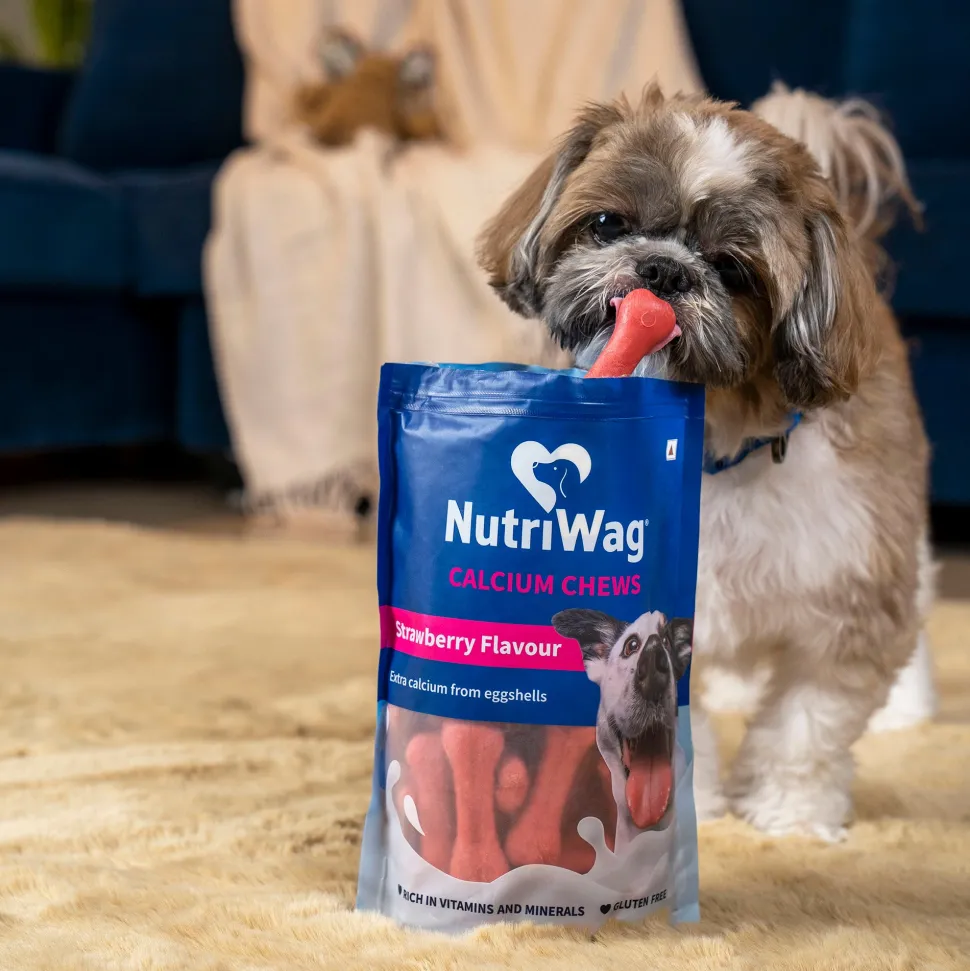 NutriWag Strawberry Calcium Chew Bones Treats For Dog