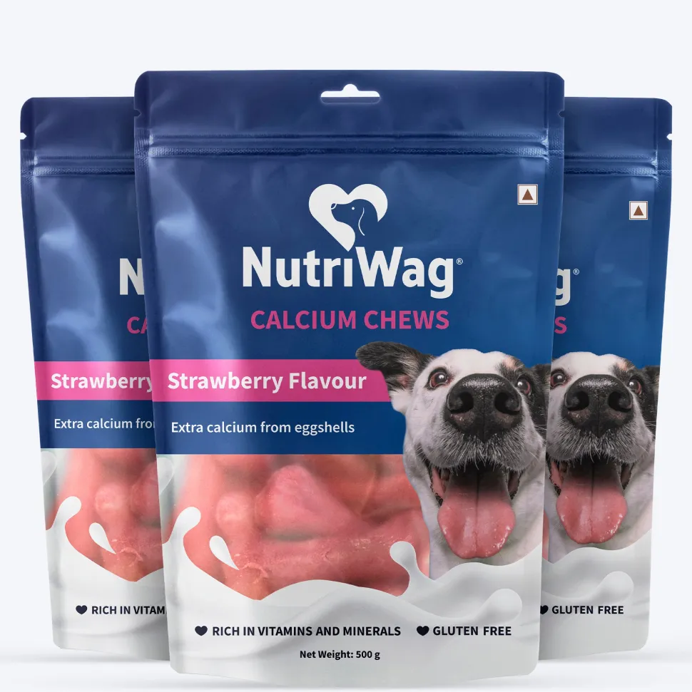 NutriWag Strawberry Calcium Chew Bones Treats For Dog