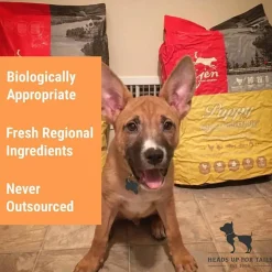 Orijen Grain Free Dry Puppy Food (All Breeds)