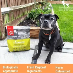 Orijen Grain Free Senior Dry Dog Food (All Breeds)