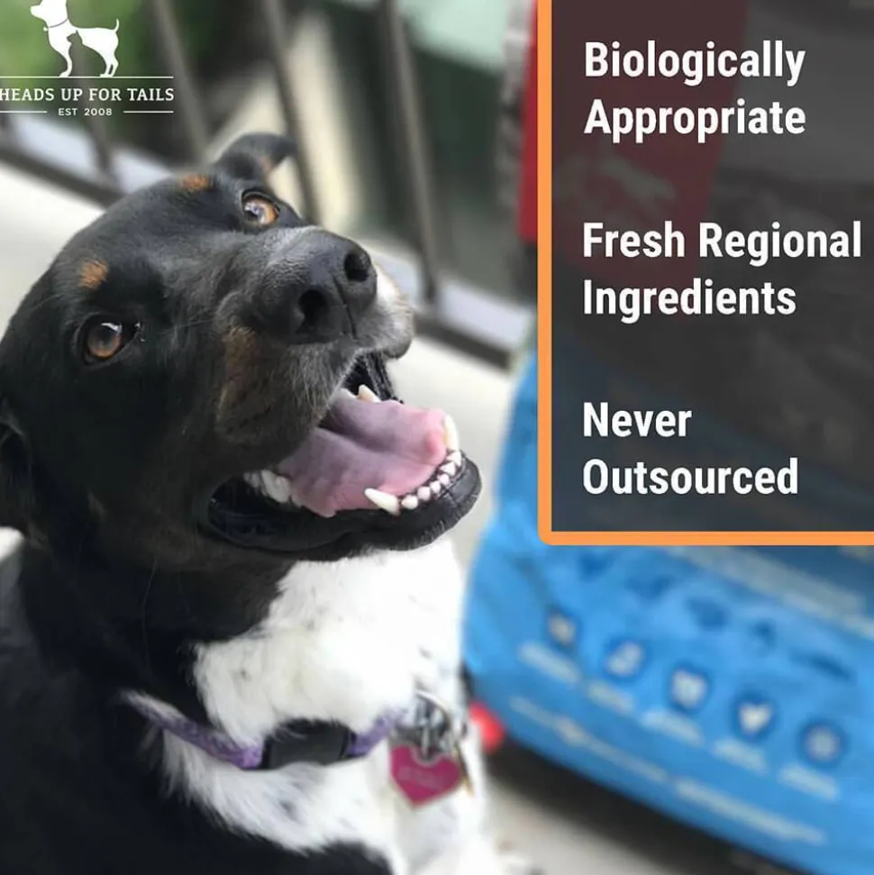 Orijen Original Grain Free Dry Dog Food (All Breeds & Ages)