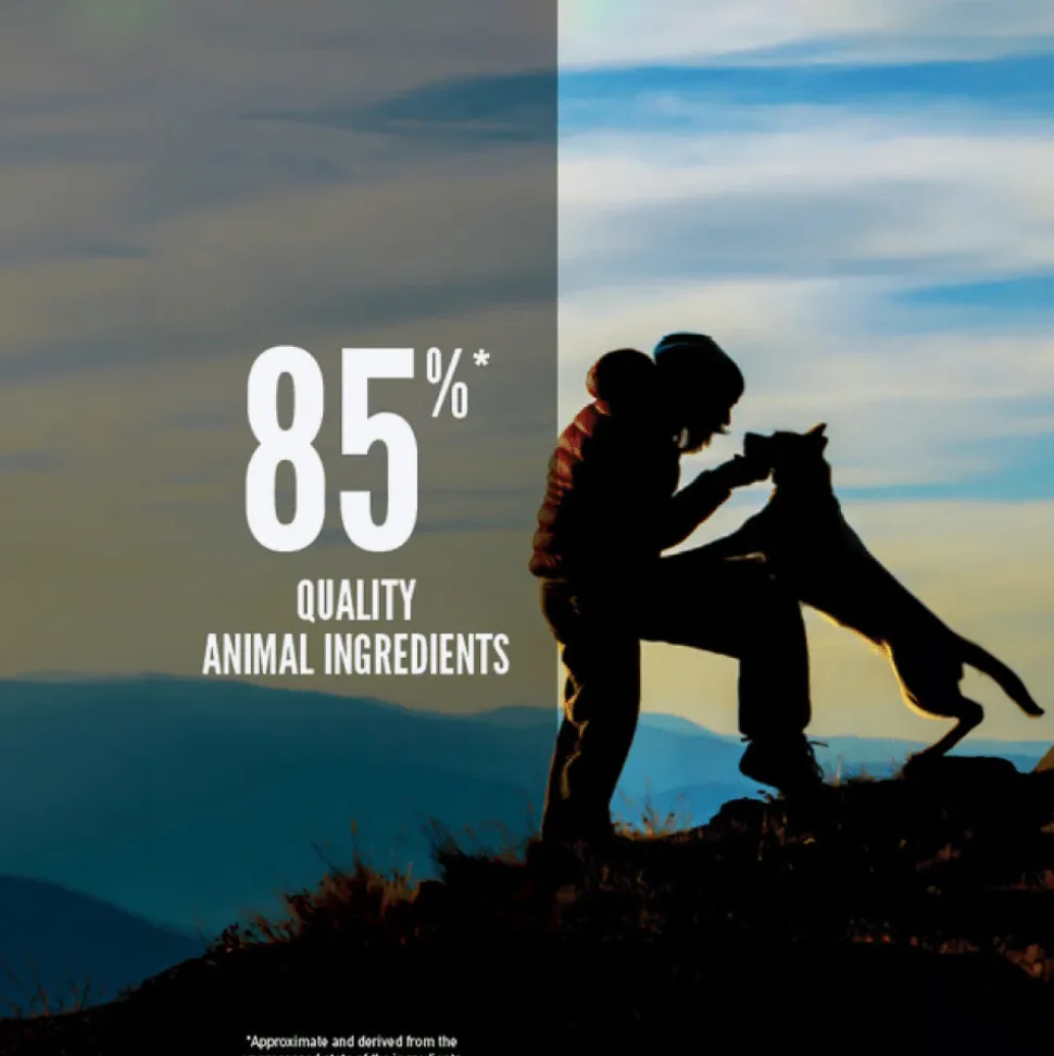 Orijen Original Grain Free Dry Dog Food (All Breeds & Ages)