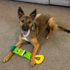 Outward Hound Mallard Fire Biterz Chew Toy For Dog - Green