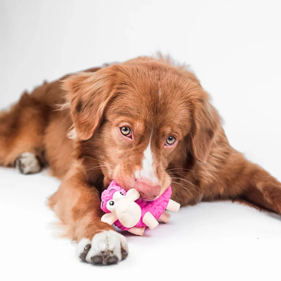 Outward Hound (Nina Ottosson) Tootiez Sheep Latex Rubber Dog Toy Pink