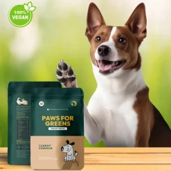 Paws For Greens Vegan Carrot & Pumpkin Treats For Dog - 100 gm