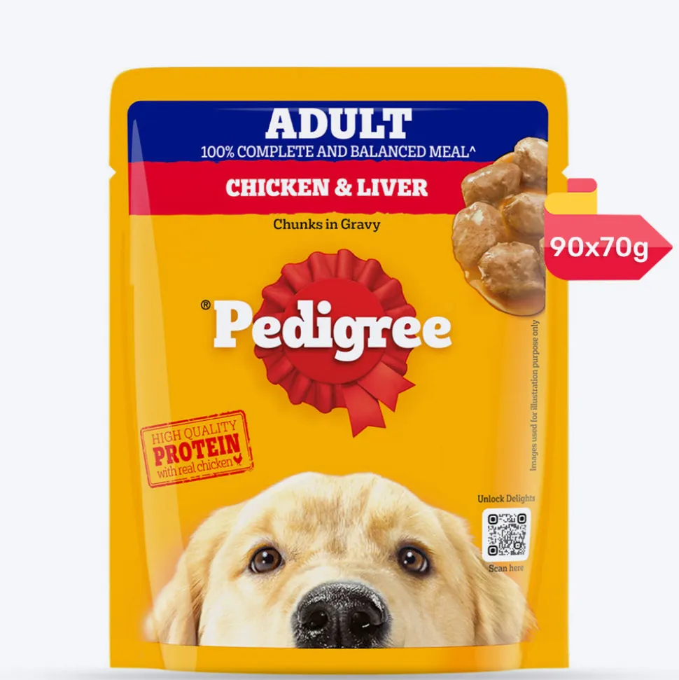 Pedigree Chicken & Liver Chunks in Gravy Adult Wet Dog Food - 70 g packs