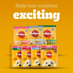Pedigree Chicken & Liver Chunks In Gravy Puppy Wet Food - 130 g