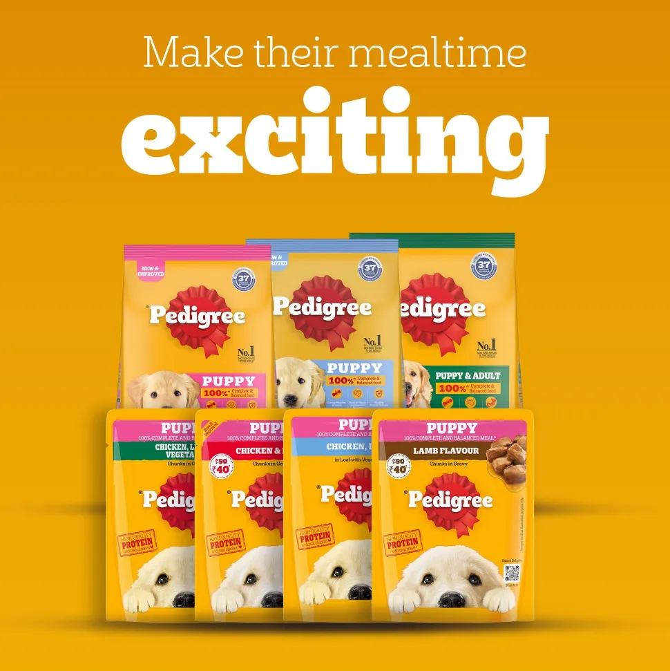 Pedigree Chicken & Liver Chunks In Gravy Puppy Wet Food - 130 g