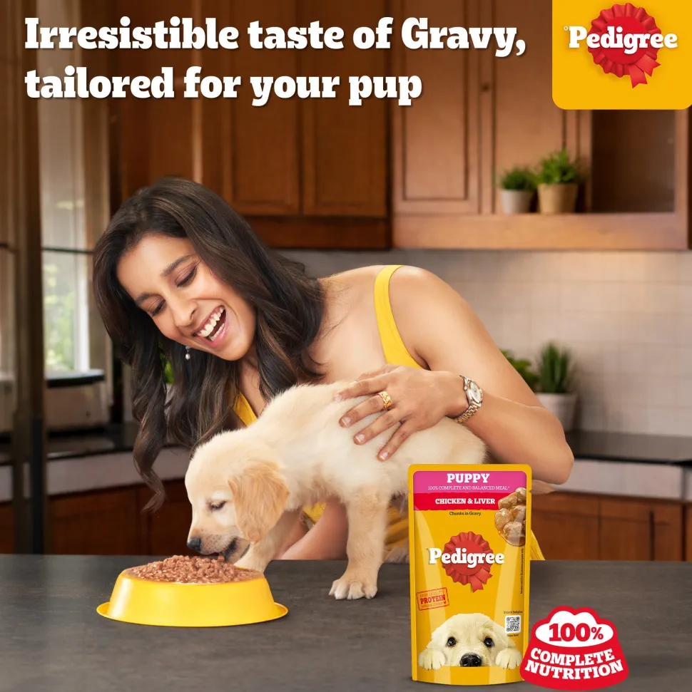 Pedigree Chicken & Liver Chunks In Gravy Puppy Wet Food - 130 g