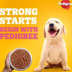 Pedigree Chicken & Liver Chunks In Gravy Puppy Wet Food - 130 g