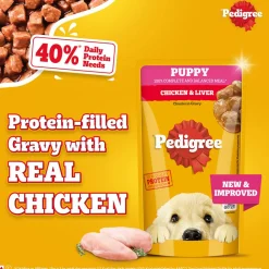 Pedigree Chicken & Liver Chunks In Gravy Puppy Wet Food - 130 g
