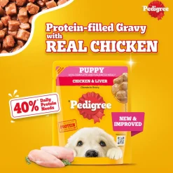 Pedigree Chicken & Liver Chunks in Gravy Wet Puppy Food - 70 g packs