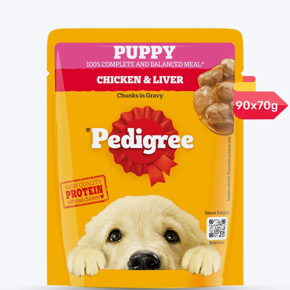 Pedigree Chicken & Liver Chunks in Gravy Wet Puppy Food - 70 g packs
