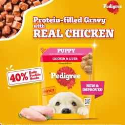 Pedigree Chicken & Liver Chunks In Gravy New Born Puppy Wet Food - 2.1 kg (30x0.07 kg)
