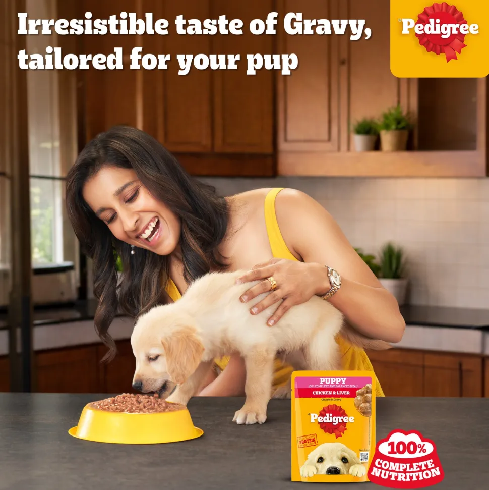 Pedigree Chicken & Liver Chunks In Gravy New Born Puppy Wet Food - 2.1 kg (30x0.07 kg)