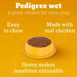 Pedigree Chicken & Liver Chunks in Gravy with Vegetables Wet Puppy Food - 70gm Packs