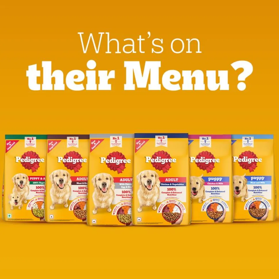 Pedigree Chicken & Milk Puppy Dry Dog Food (Contains 37 Essential Nutrients)