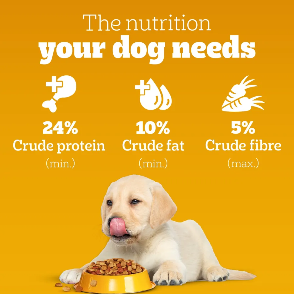 Pedigree Chicken & Milk Puppy Dry Dog Food (Contains 37 Essential Nutrients)