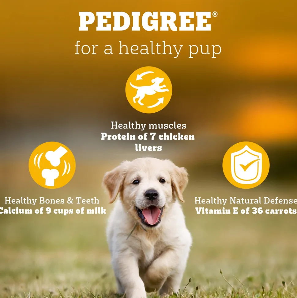 Pedigree Chicken & Milk Puppy Dry Dog Food (Contains 37 Essential Nutrients)
