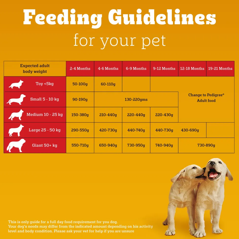 Pedigree Chicken & Milk Puppy Dry Dog Food (Contains 37 Essential Nutrients)