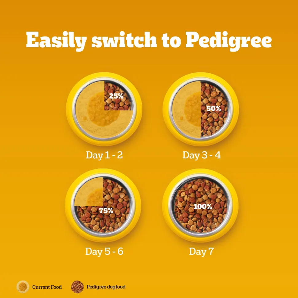 Pedigree Chicken & Milk Puppy Dry Dog Food (Contains 37 Essential Nutrients)