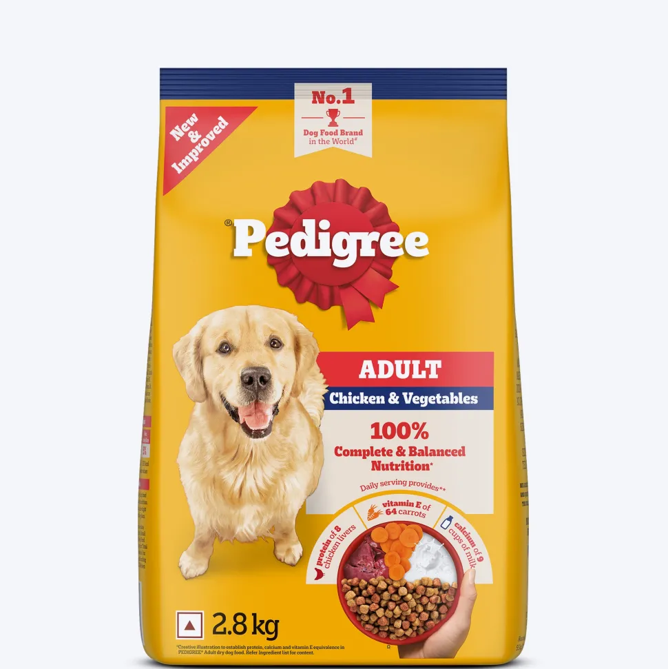 Pedigree Chicken & Vegetables Dry Food For Adult Dog