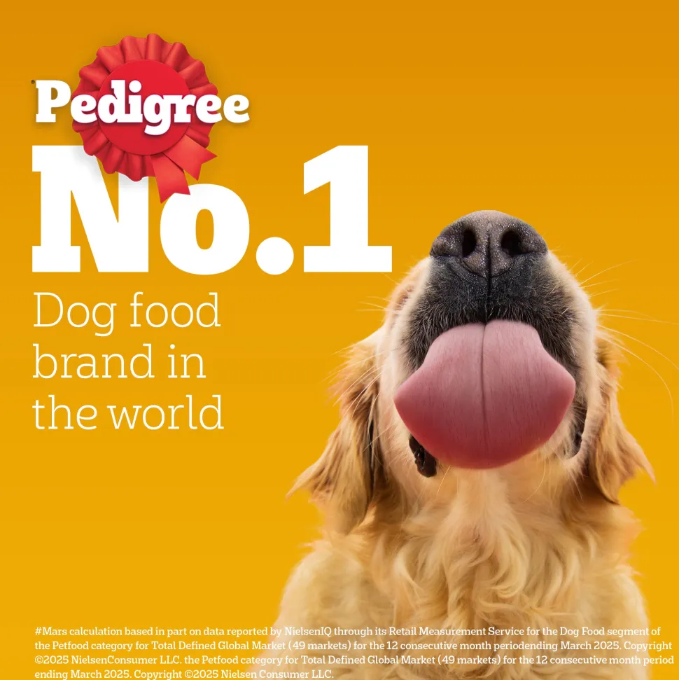 Pedigree Chicken & Vegetables Dry Food For Adult Dog