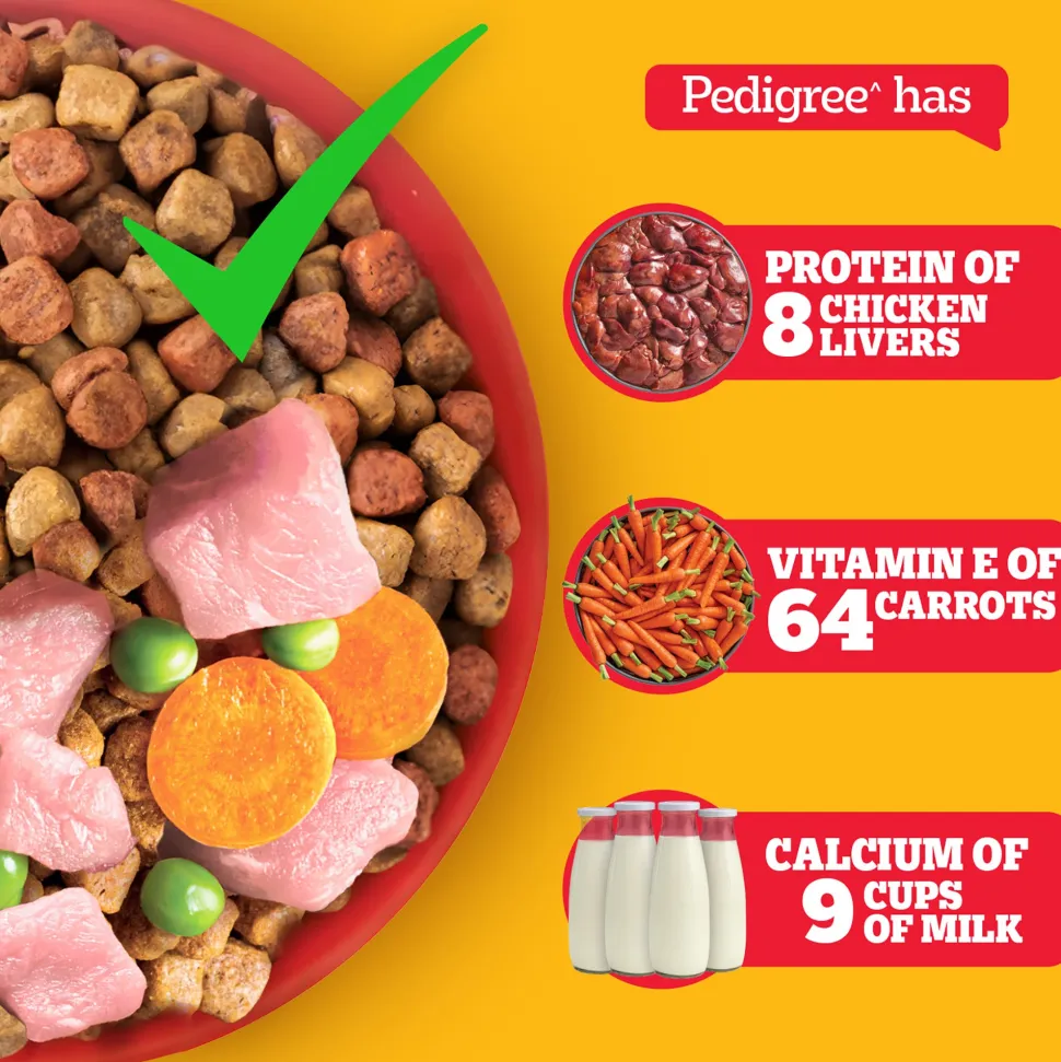 Pedigree Chicken & Vegetables Dry Food For Adult Dog