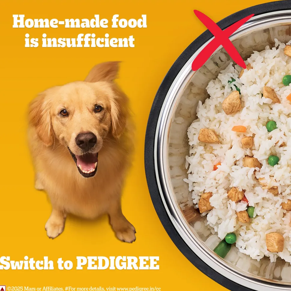 Pedigree Chicken & Vegetables Dry Food For Adult Dog