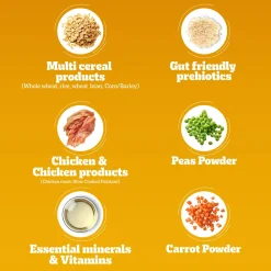 Pedigree Chicken & Vegetables Dry Food For Adult Dog