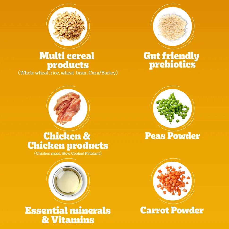 Pedigree Chicken & Vegetables Dry Food For Adult Dog