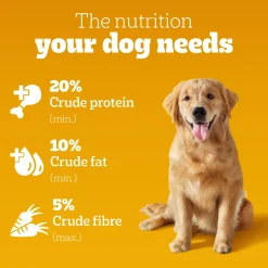 Pedigree Chicken & Vegetables Dry Food For Adult Dog