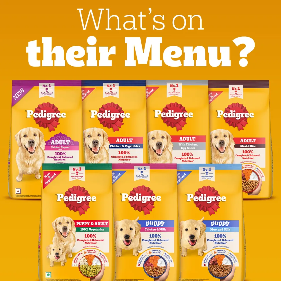 Pedigree Chicken & Vegetables Dry Food For Adult Dog