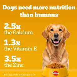 Pedigree Chicken & Vegetables Dry Food For Adult Dog