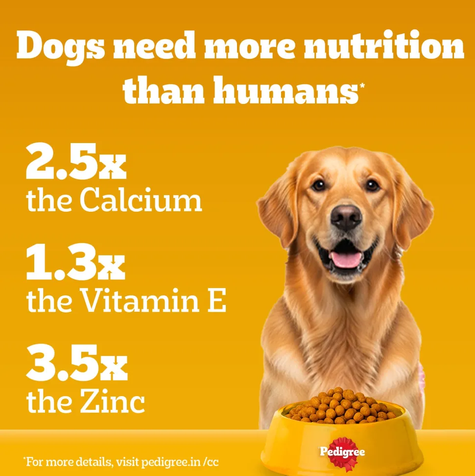Pedigree Chicken & Vegetables Dry Food For Adult Dog