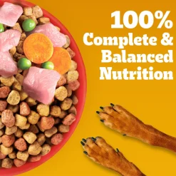 Pedigree Chicken & Vegetables Dry Food For Adult Dog