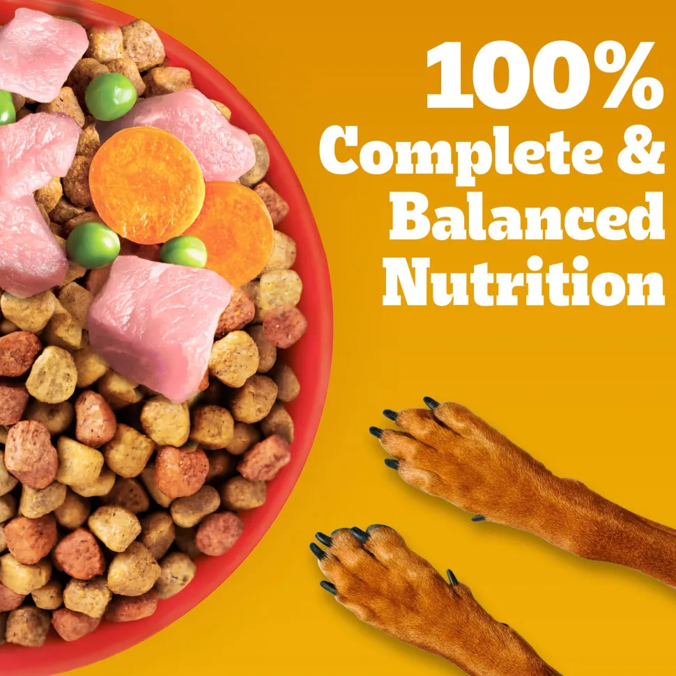 Pedigree Chicken & Vegetables Dry Food For Adult Dog