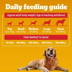 Pedigree Chicken & Vegetables Dry Food For Adult Dog