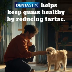 Pedigree Dentastix Oral Care Dog Treat Weekly Pack For Large Breed - 270 g