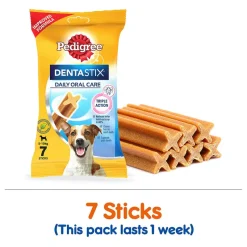 Pedigree Food & Dentastix Adult Dog Treat Combo - Pack of 2