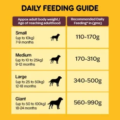 Pedigree Food & Dentastix Adult Dog Treat Combo - Pack of 2