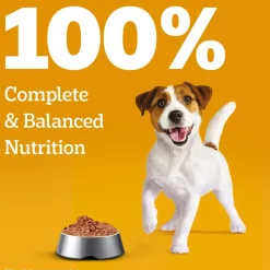 Pedigree Lamb Chunks In Gravy Puppy Wet Food - 70 g