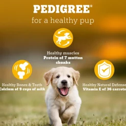 Pedigree Meat & Milk Puppy Dry Dog Food (Contains 37 Essential Nutrients)