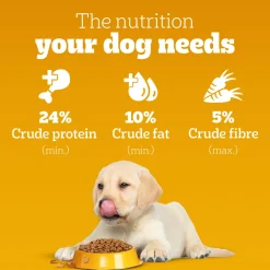 Pedigree Meat & Milk Puppy Dry Dog Food (Contains 37 Essential Nutrients)