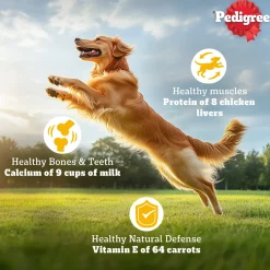Pedigree Meat & Rice Dry Food For Adult Dog