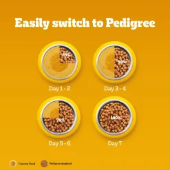 Pedigree Meat & Rice Dry Food For Adult Dog